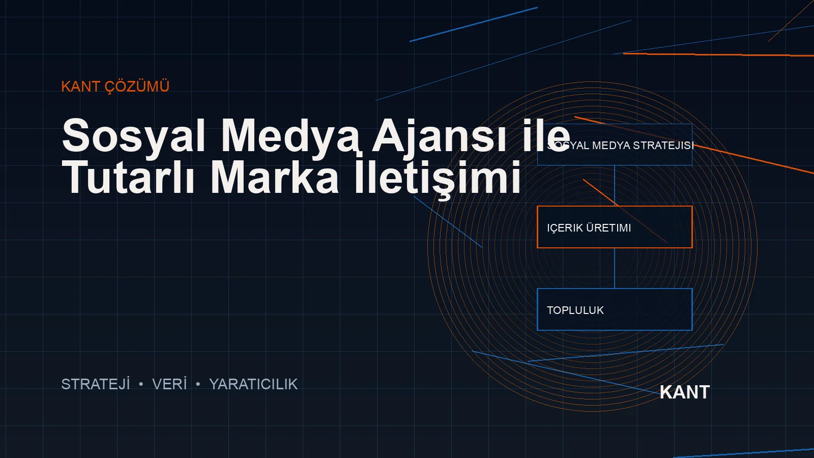 Sosyal medya ajansı profesyonel içerik ve marka yönetimi